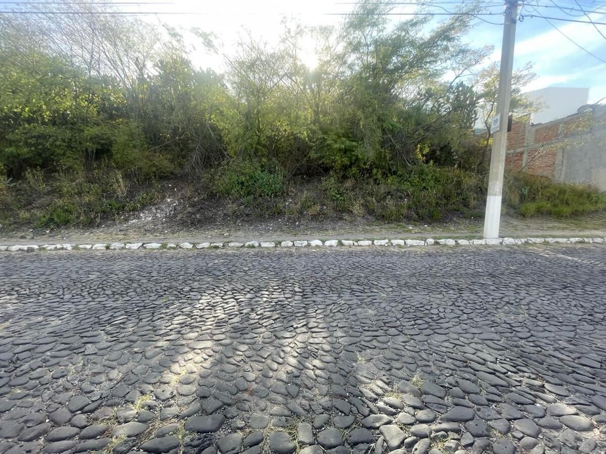 4 de 5