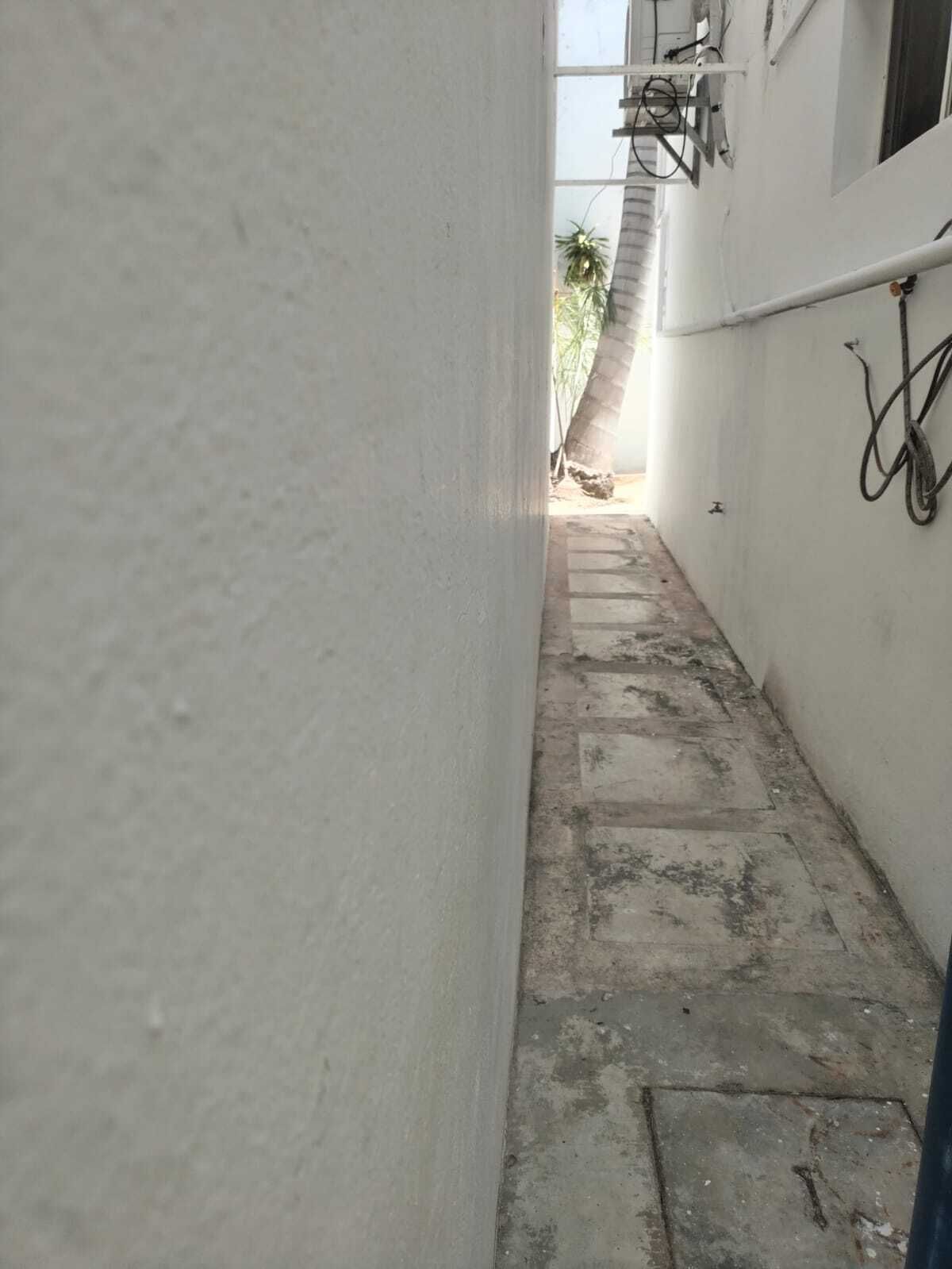 24 de 24