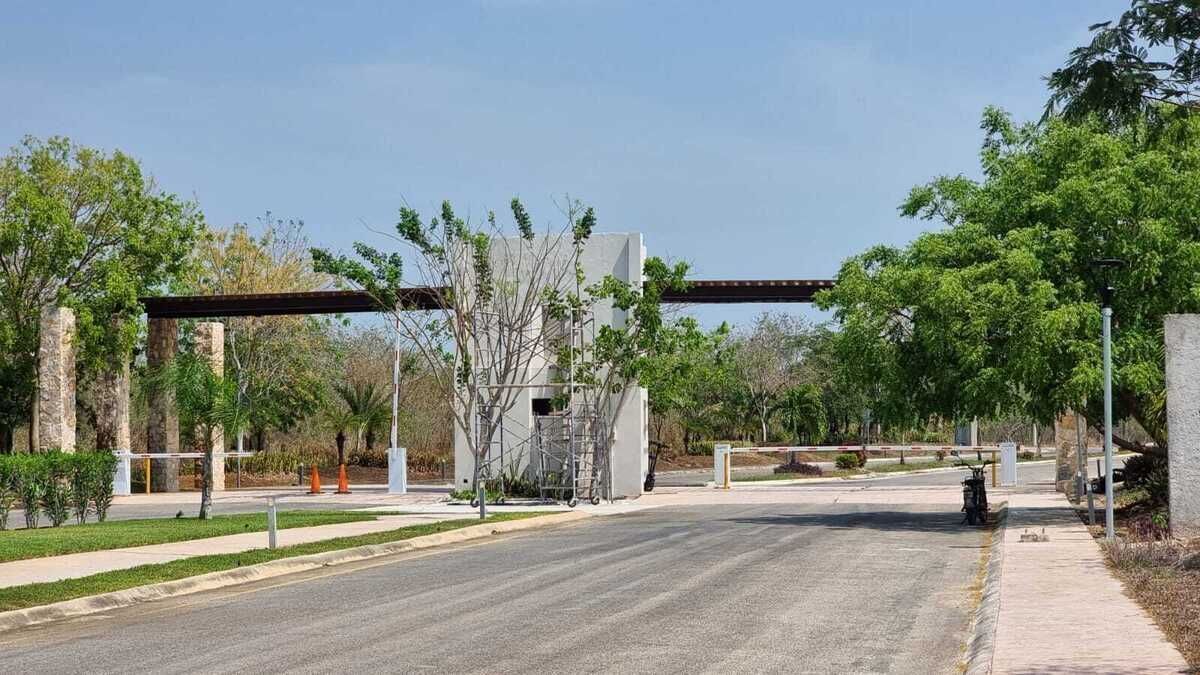 1 de 16