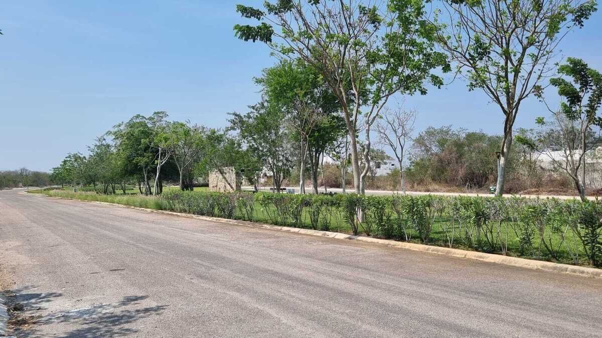 9 de 16