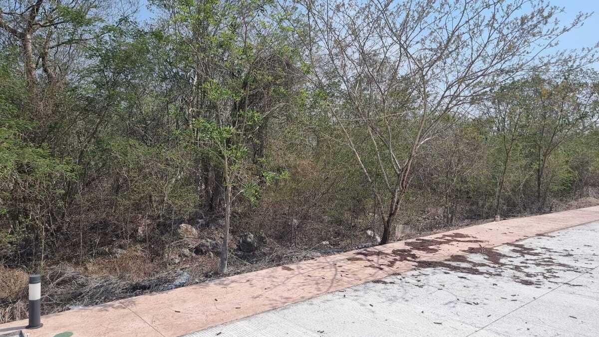 14 de 16