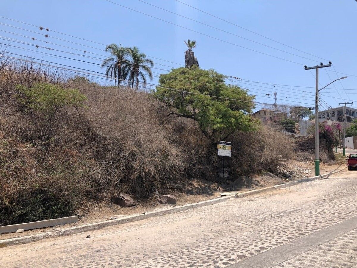 11 de 29