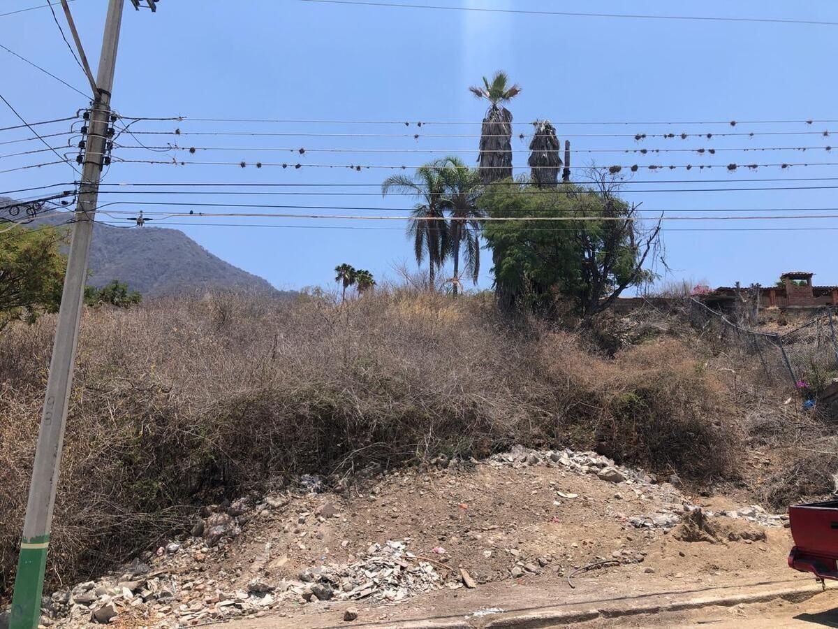17 de 29