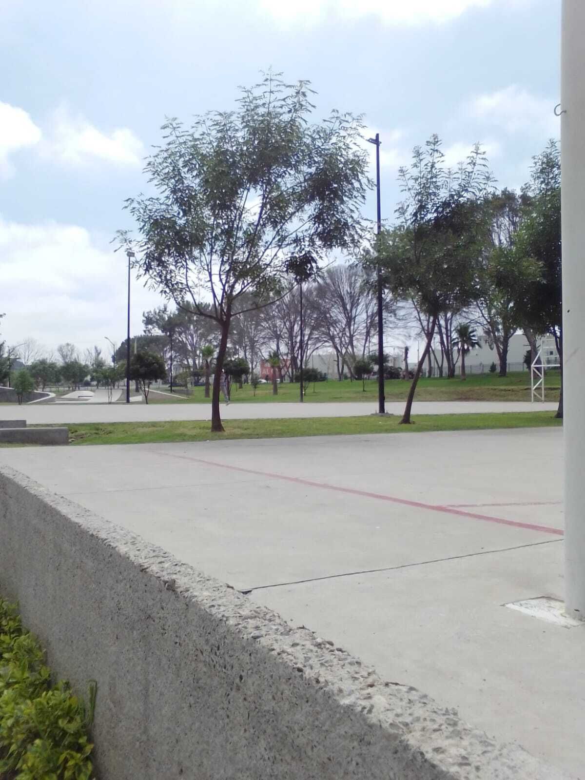 16 de 16