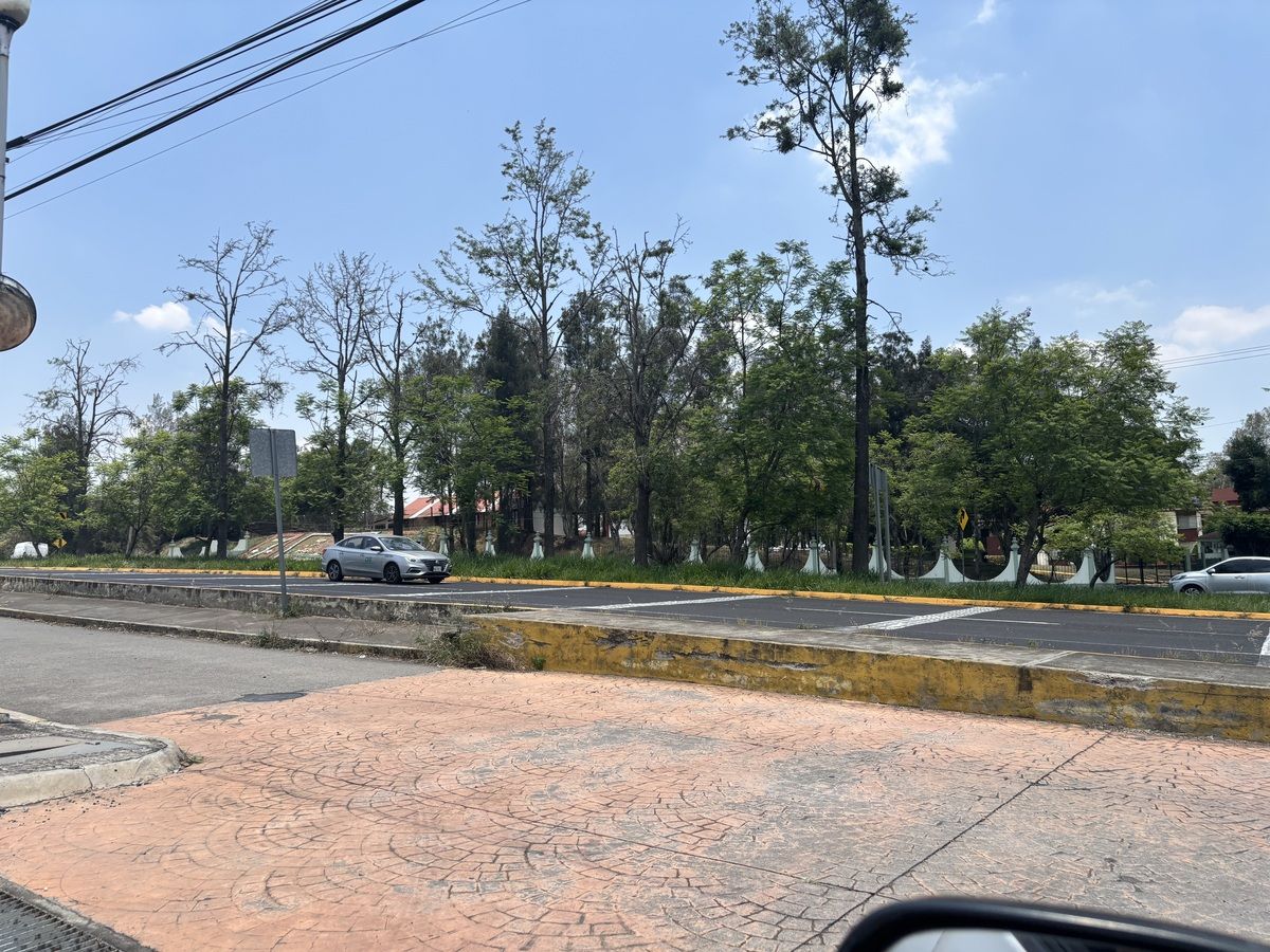 1 de 15