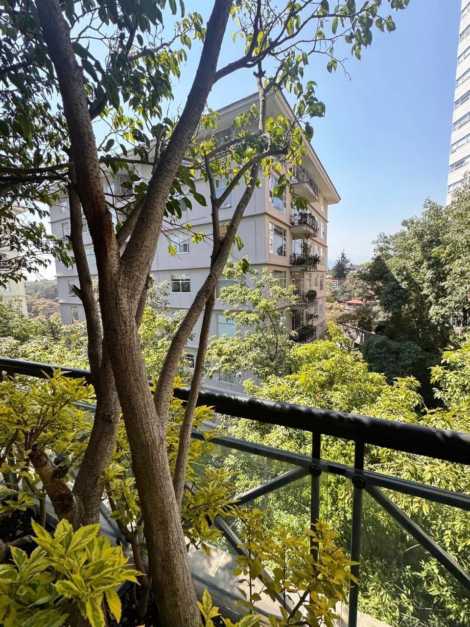 21 de 35