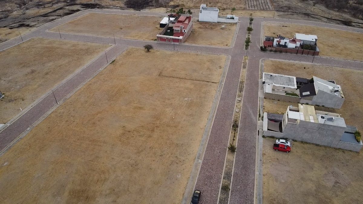 6 de 20