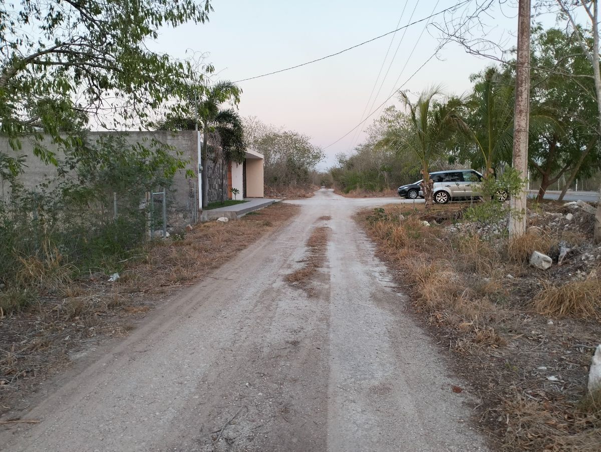 5 de 12