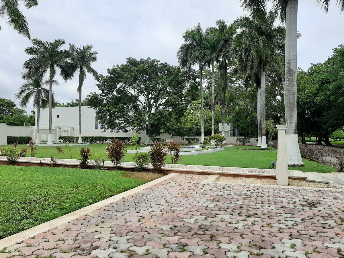 2 de 48