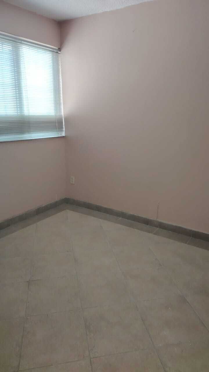 Imagen 8 de 10