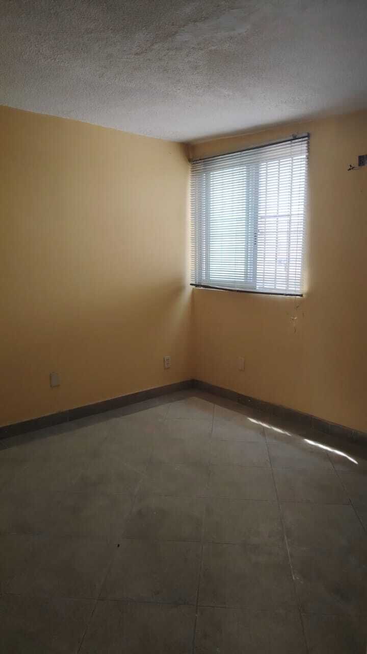 19 de 29
