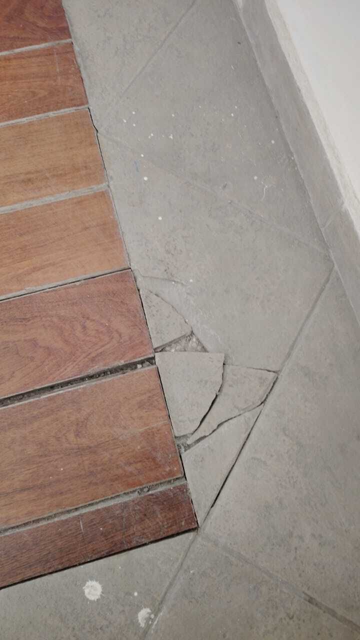 24 de 29