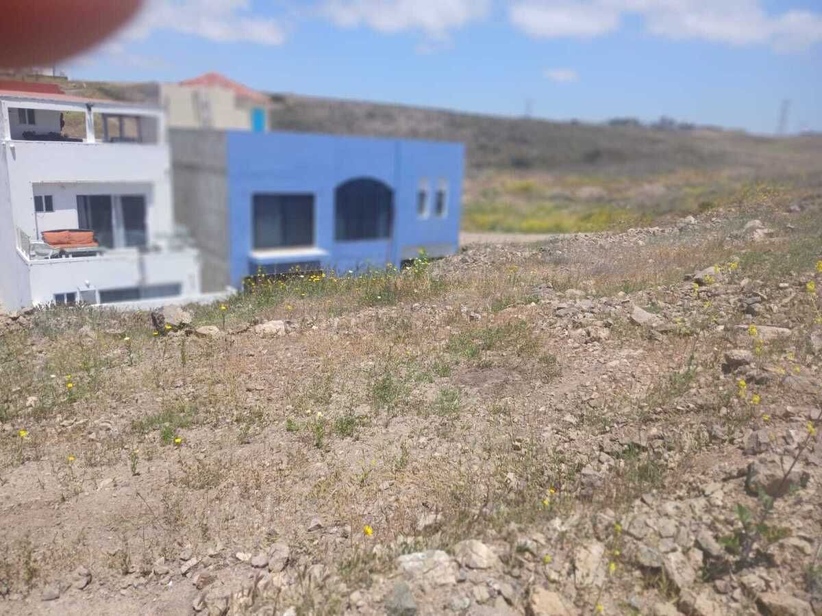 6 de 11