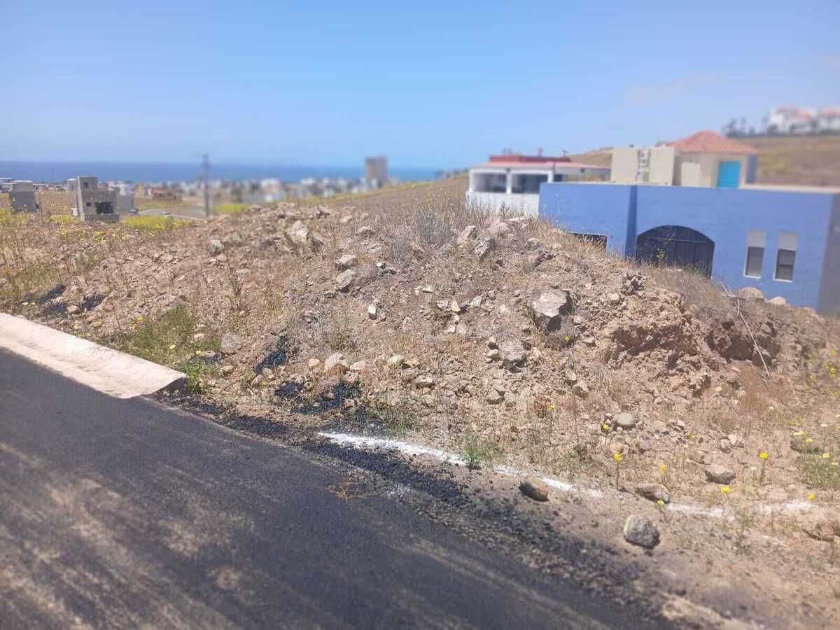 7 de 11