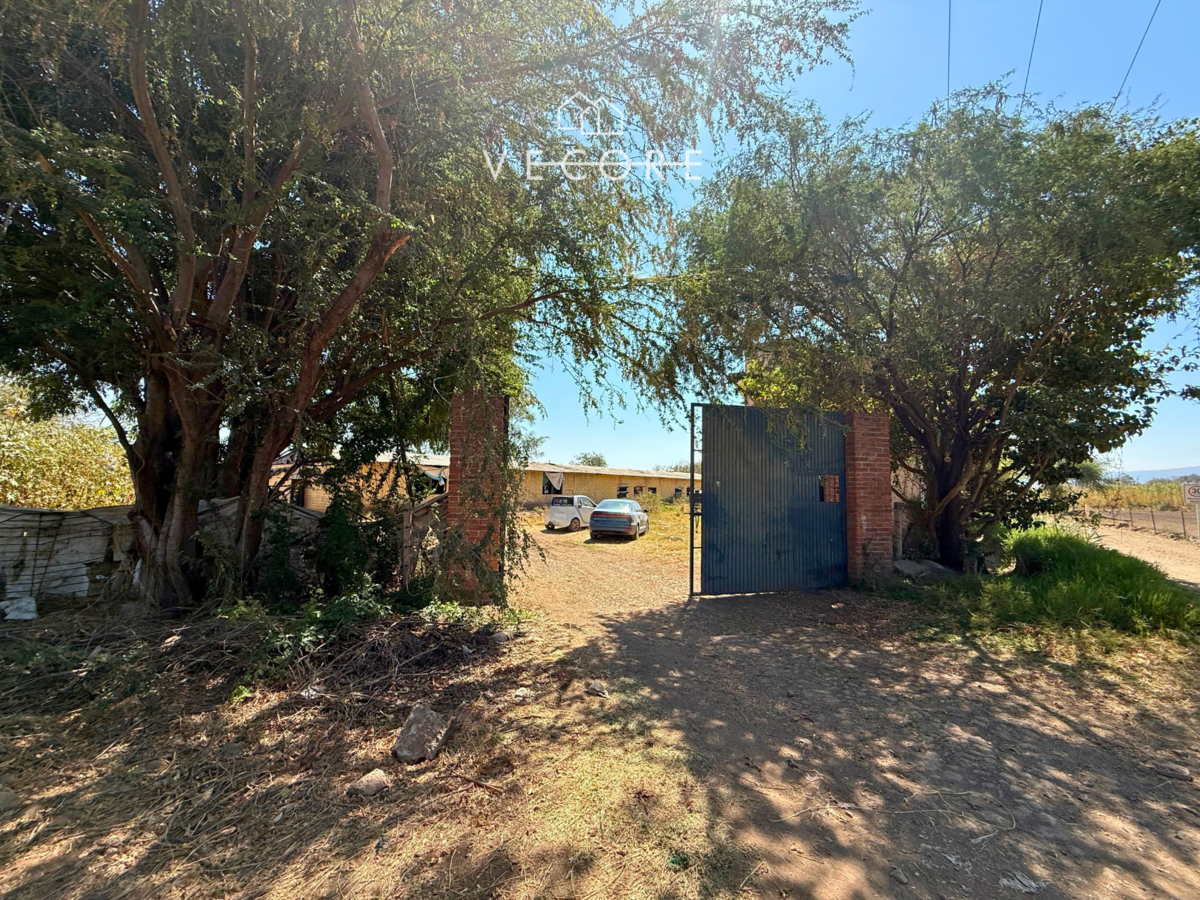 4 de 15