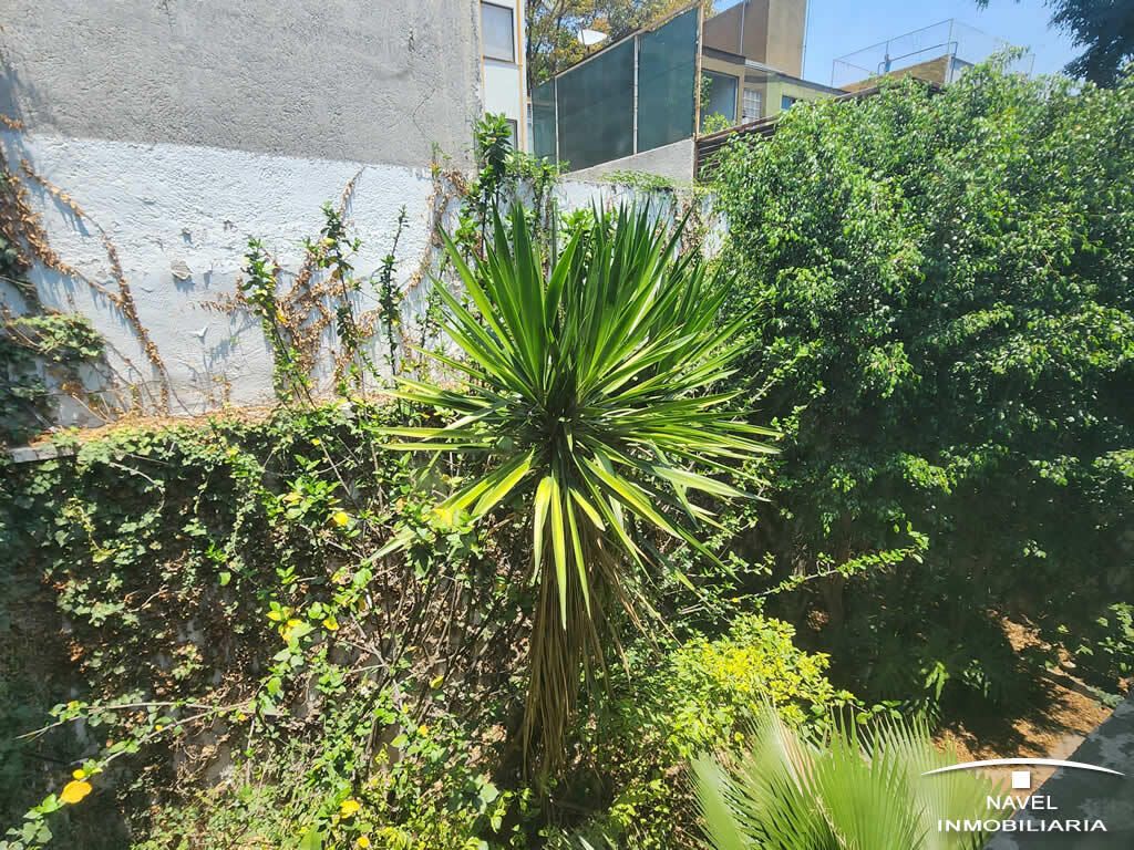 2 de 24