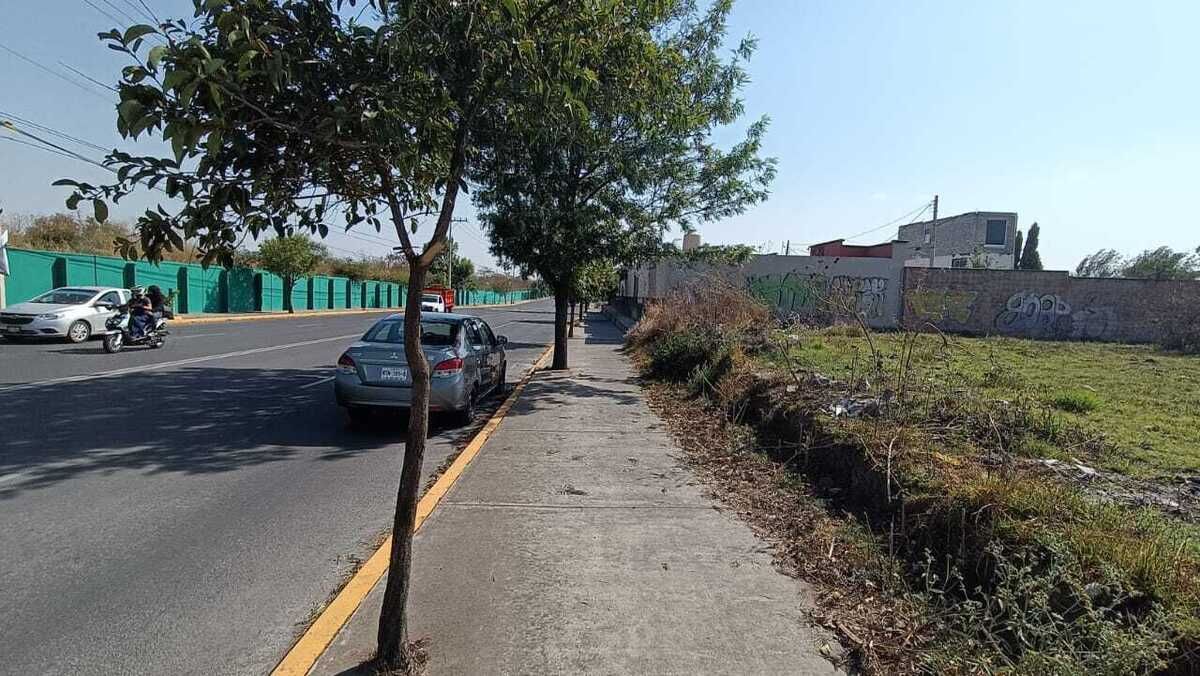 3 de 6