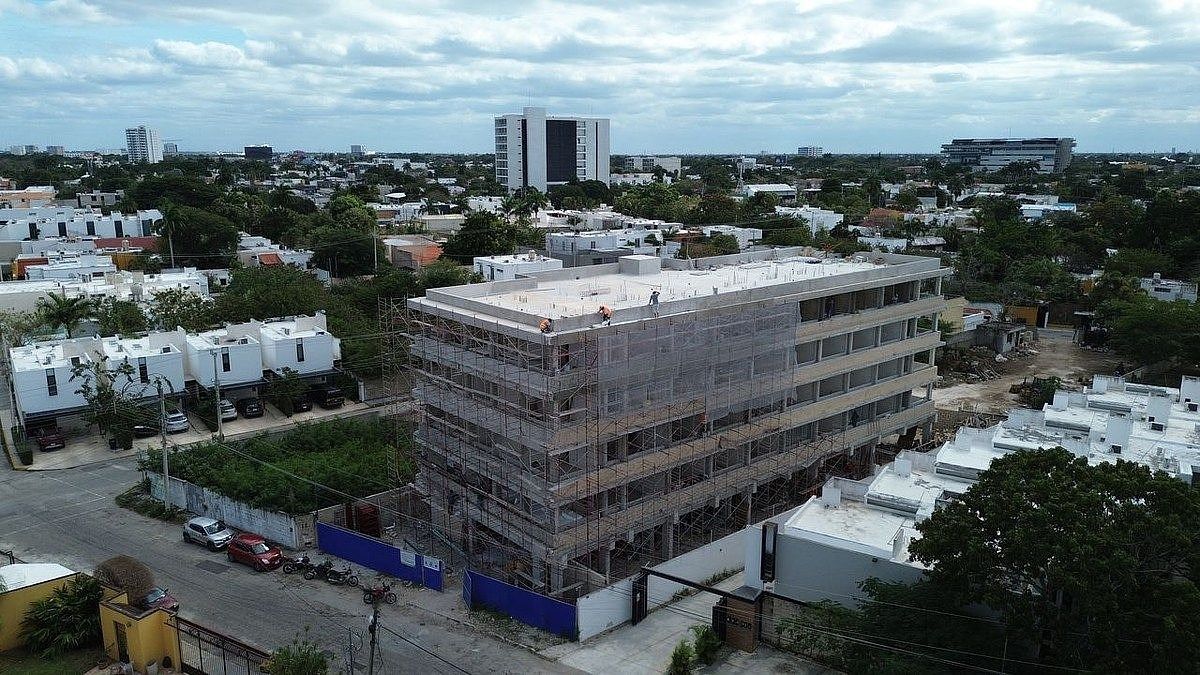 11 de 11