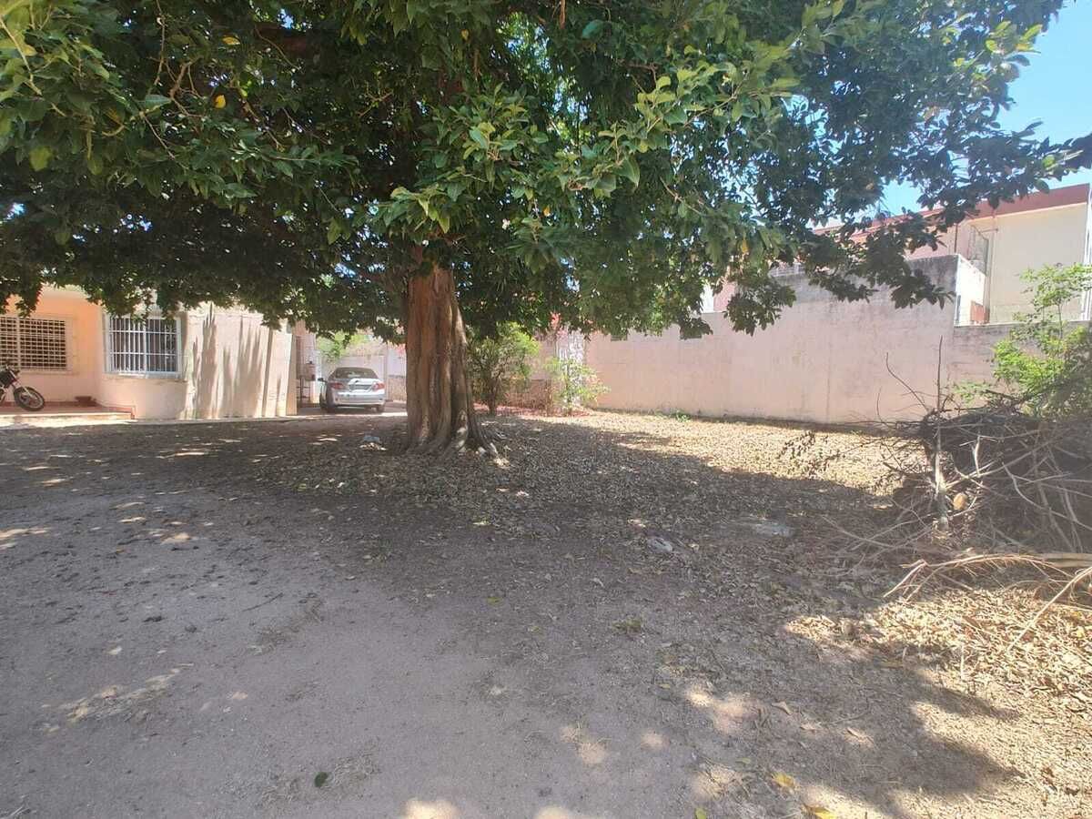 2 de 11