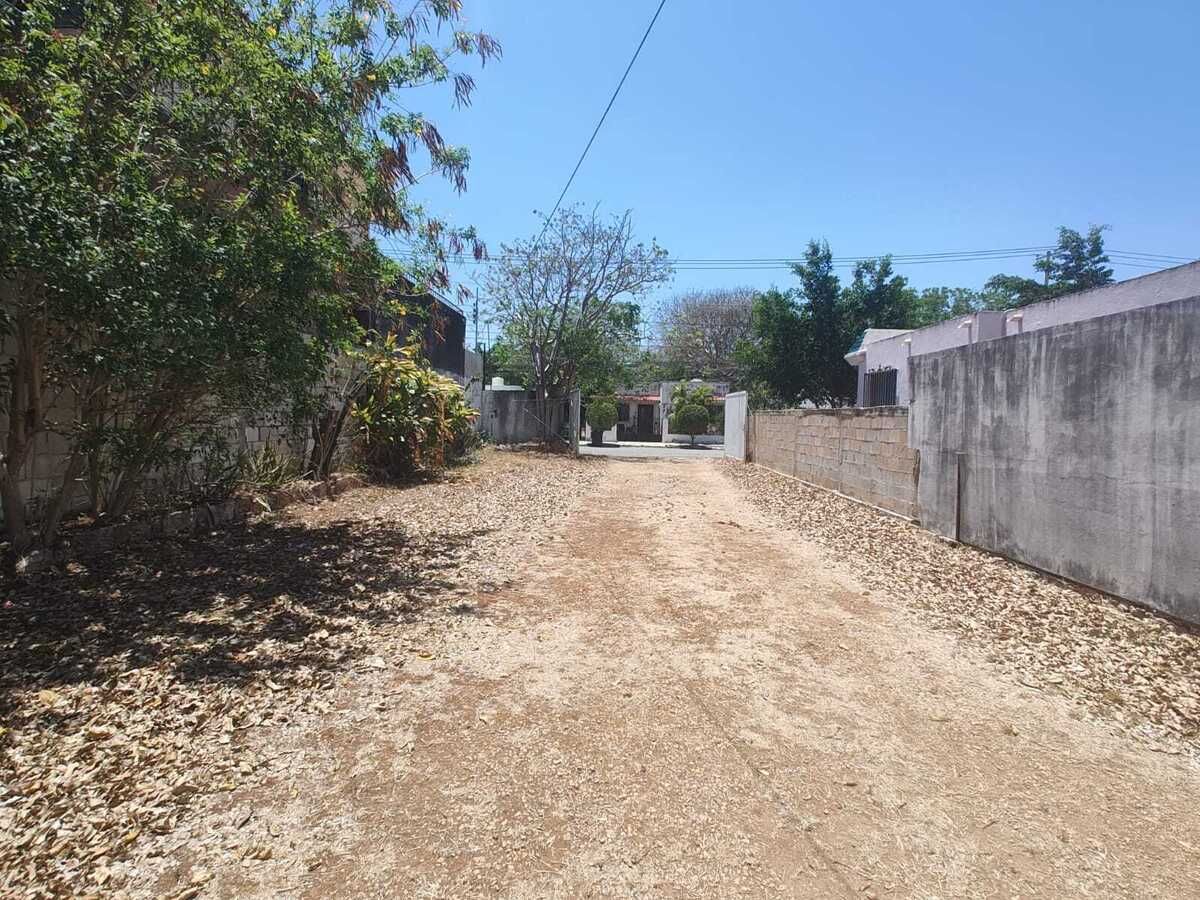 4 de 11