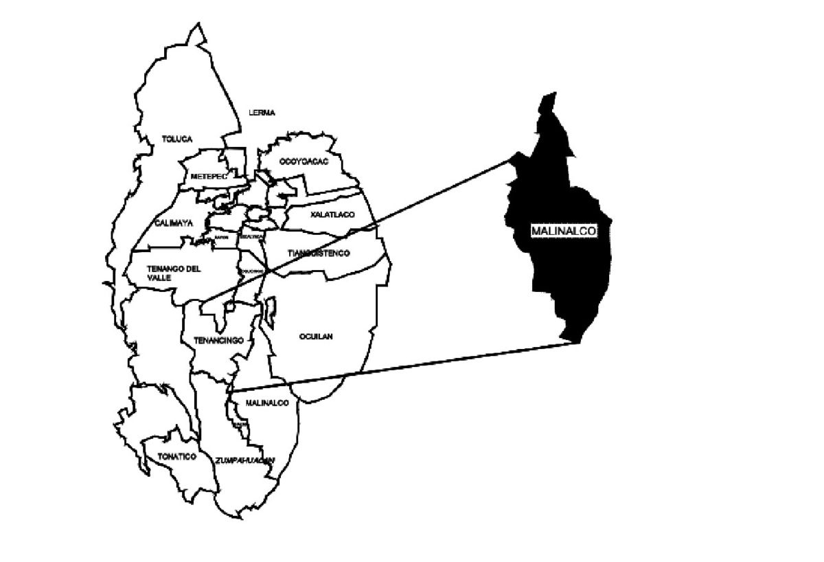 4 de 4