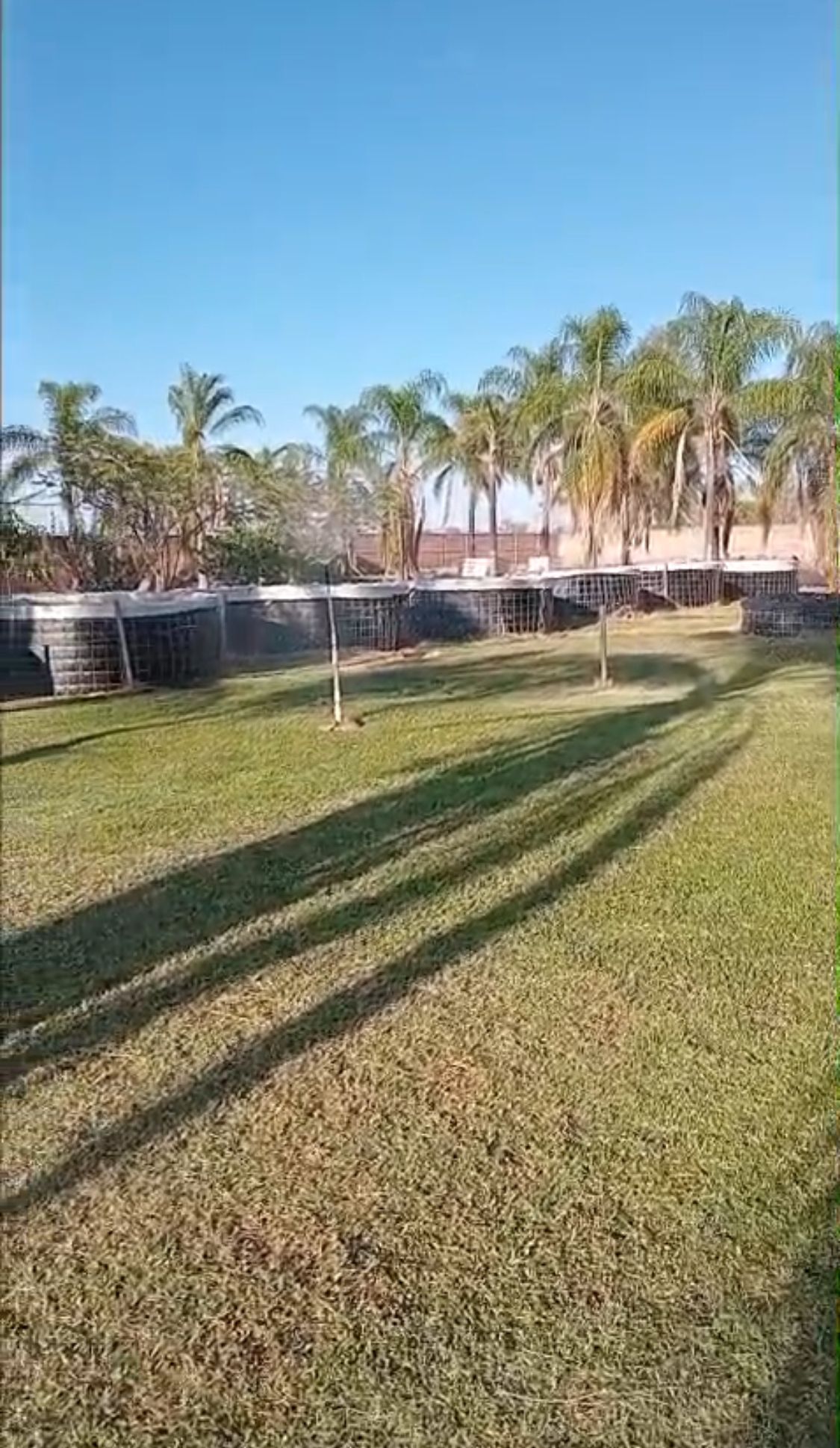 8 de 14