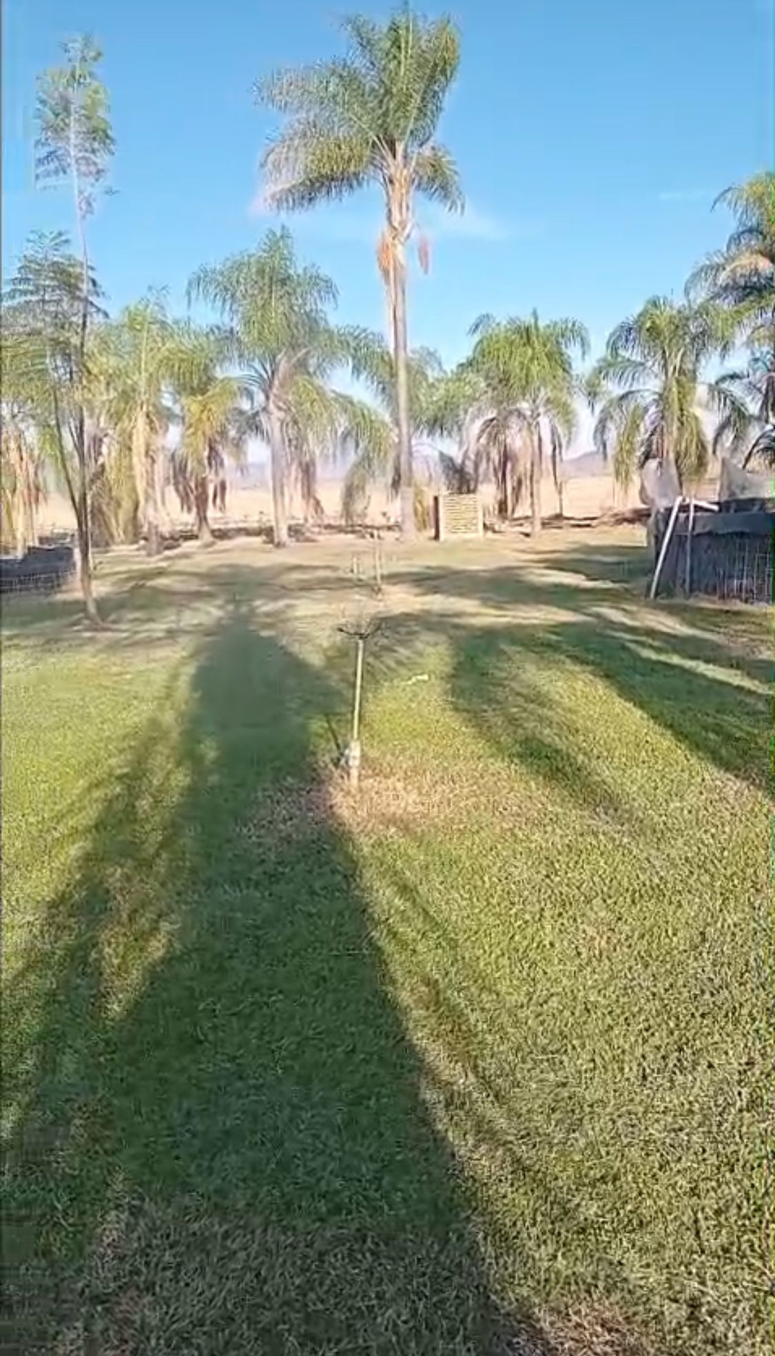6 de 14