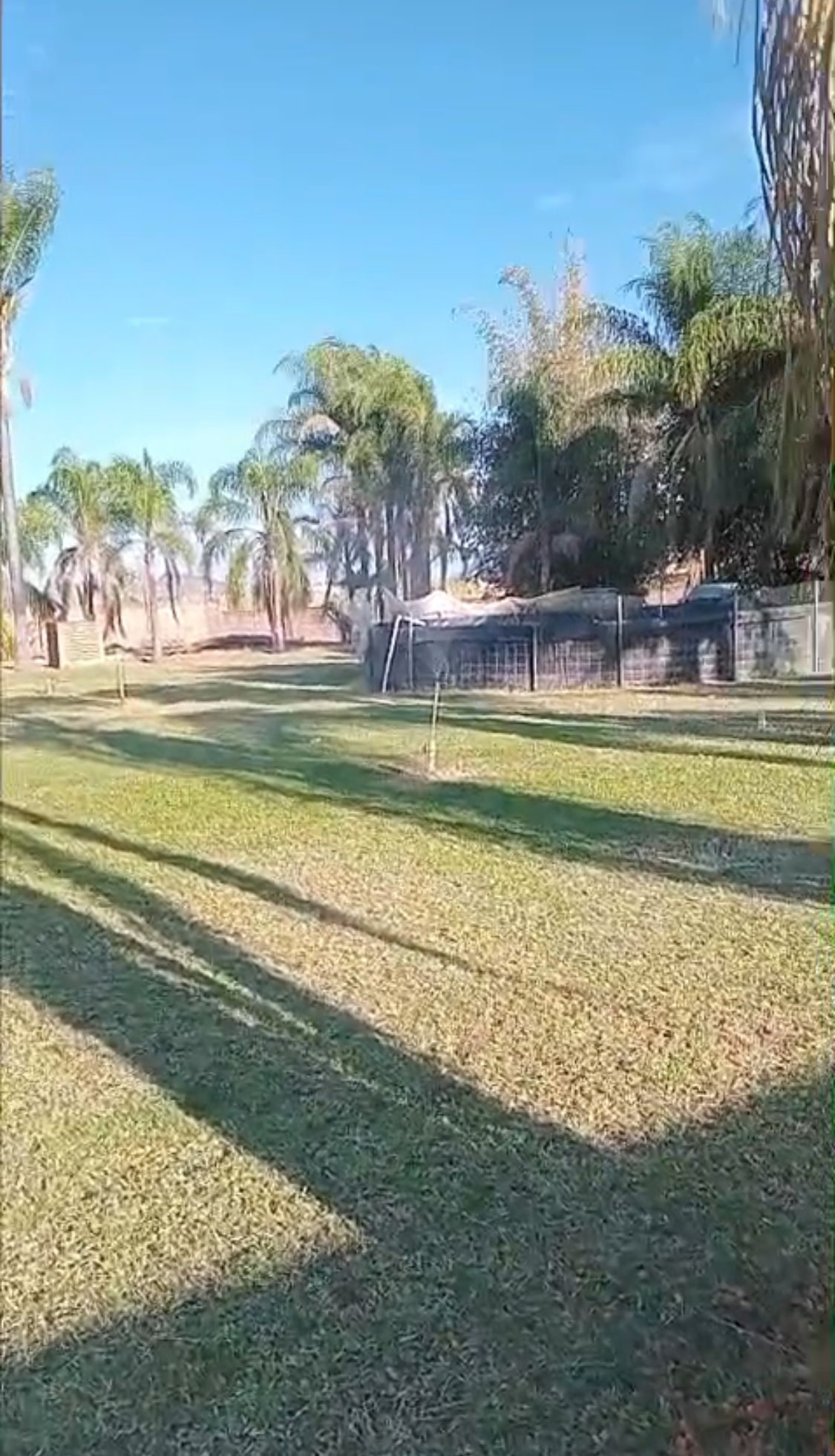 7 de 14