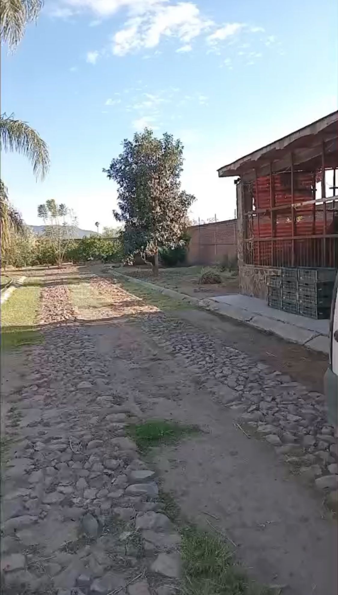 9 de 14