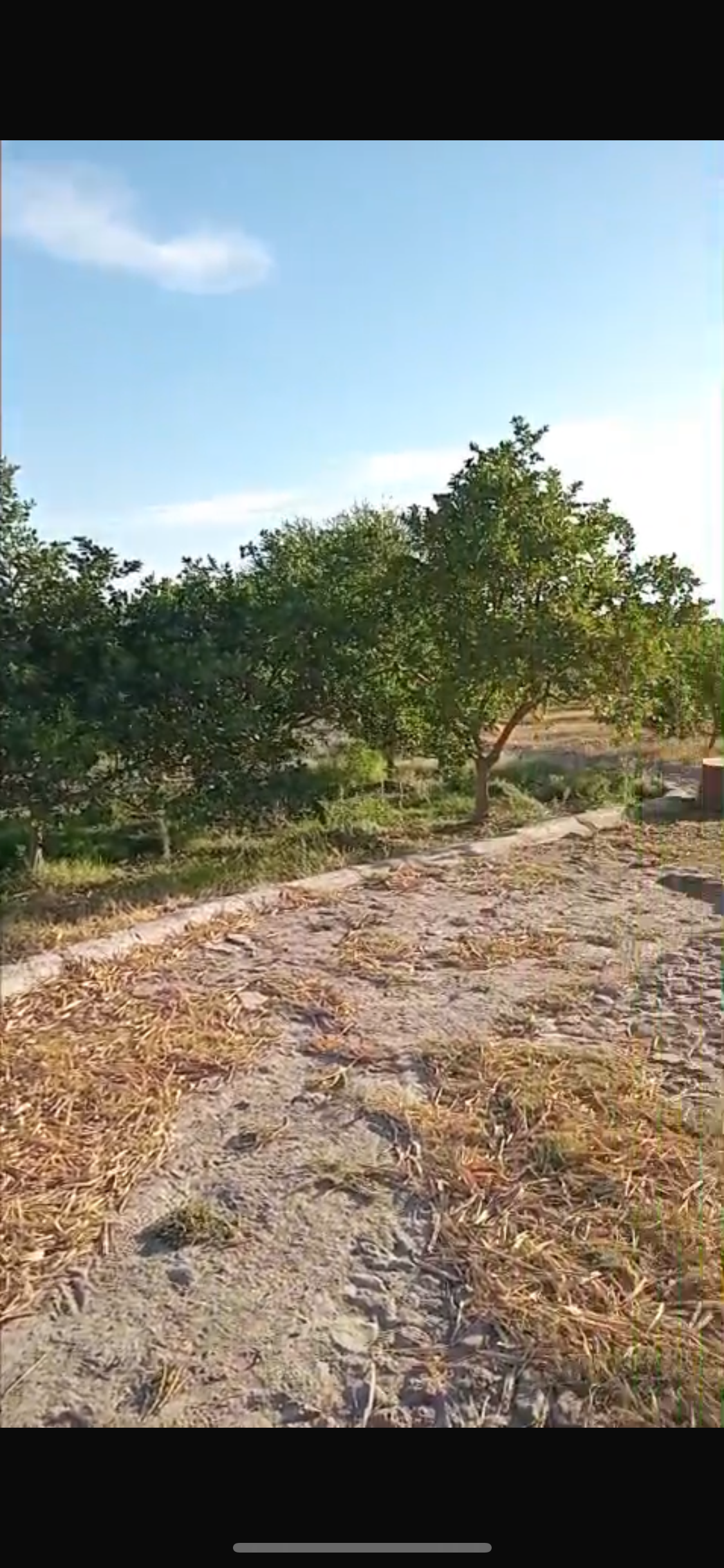 10 de 14