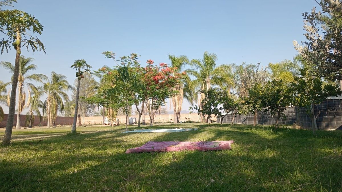 1 de 14