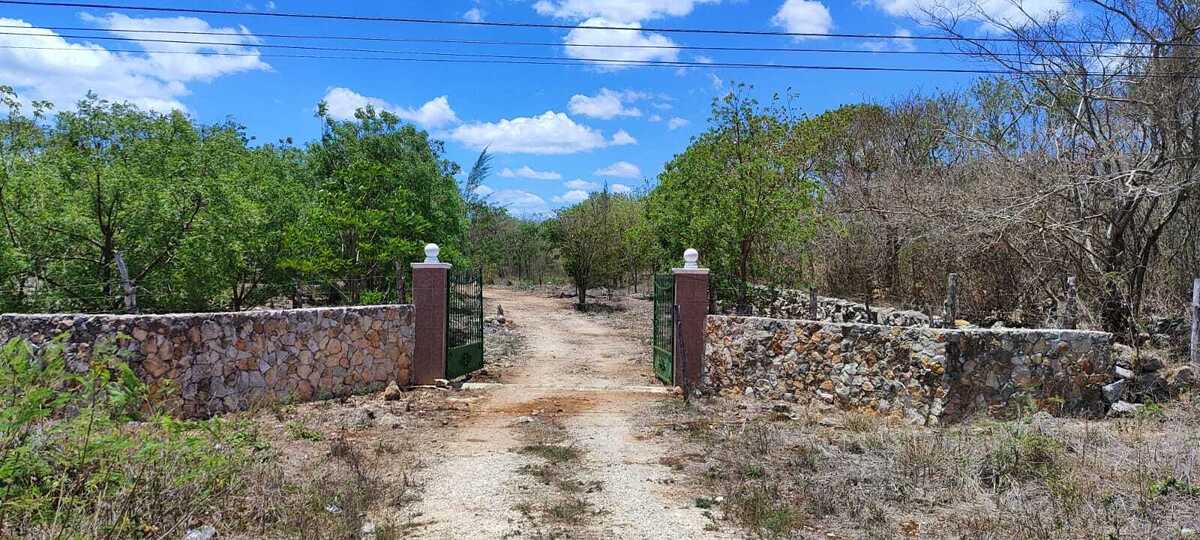 1 de 14: Terreno En Venta En Temax Yucatán