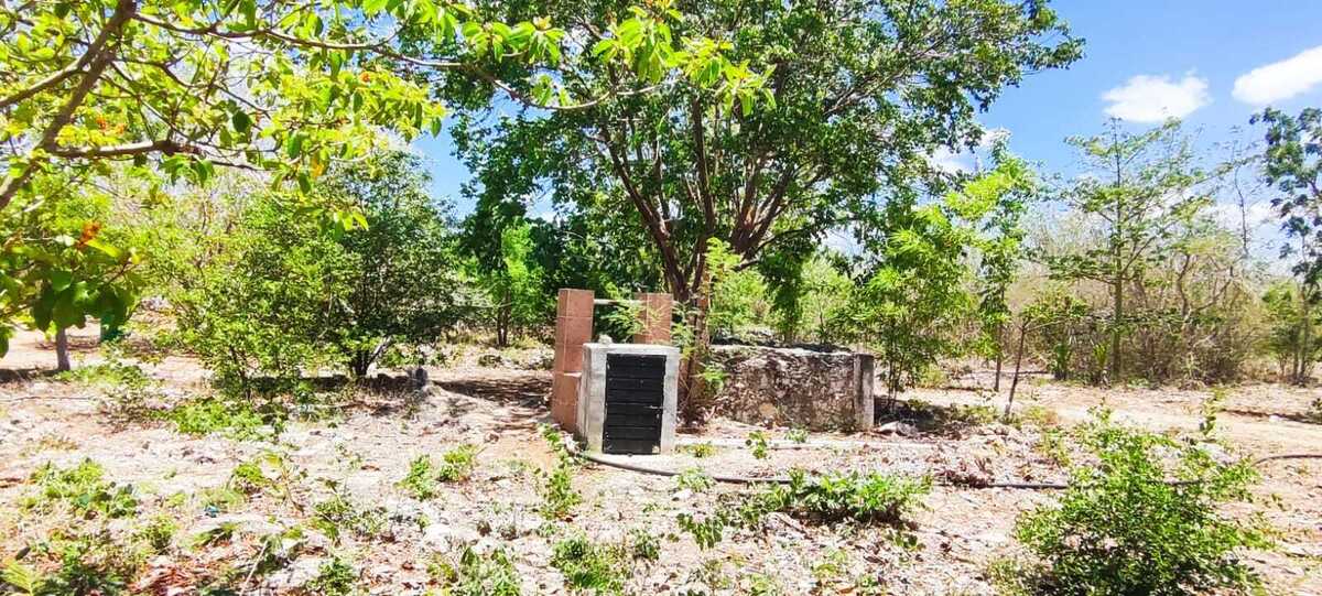 4 de 14: Terreno En Venta En Temax Yucatán