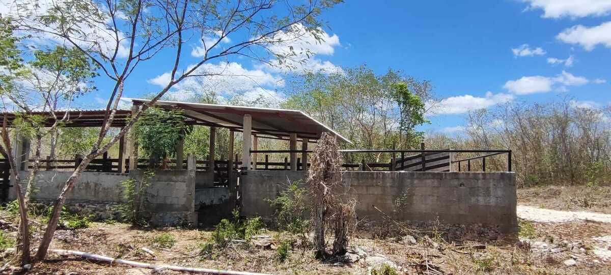 8 de 14