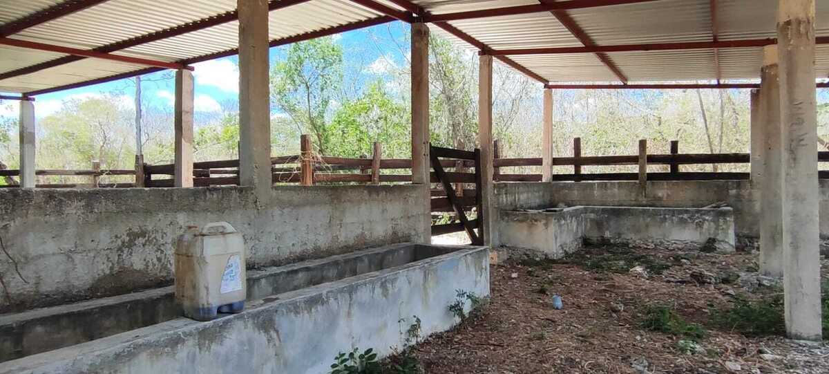 7 de 14: Terreno En Venta En Temax Yucatán