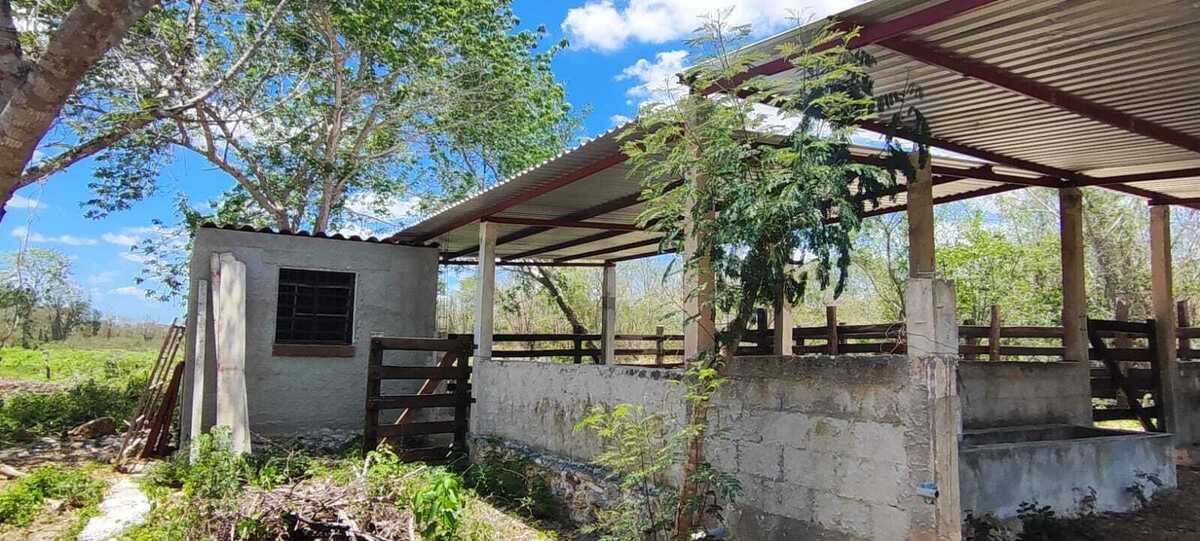 9 de 14: Terreno En Venta En Temax Yucatán