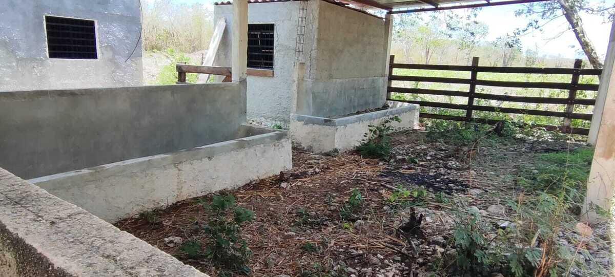10 de 14: Terreno En Venta En Temax Yucatán