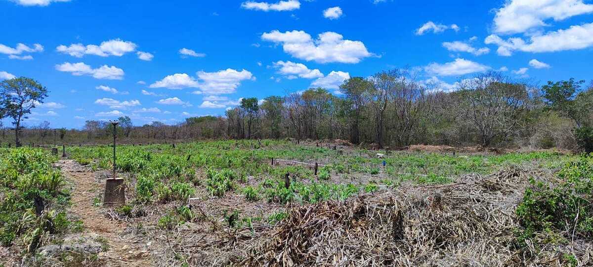 11 de 14: Terreno En Venta En Temax Yucatán
