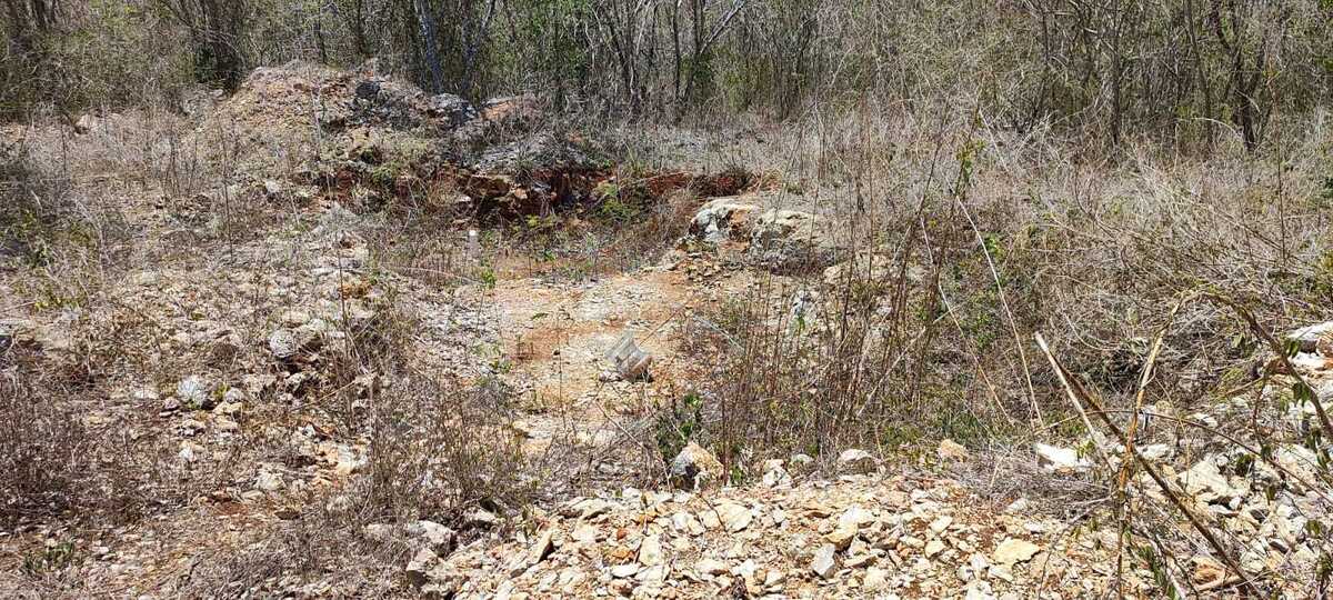 14 de 14: Terreno En Venta En Temax Yucatán