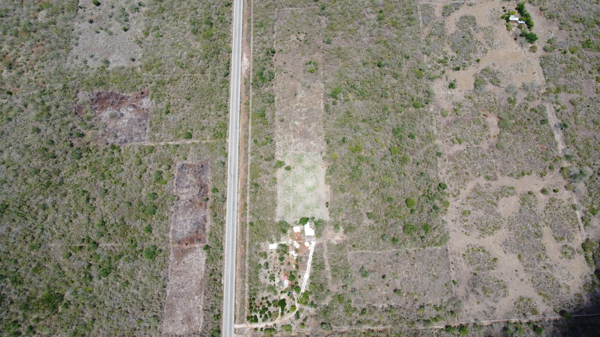 2 de 14: Terreno En Venta En Temax Yucatán