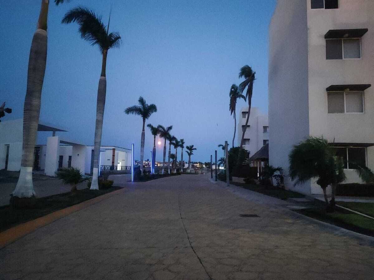 4 de 16