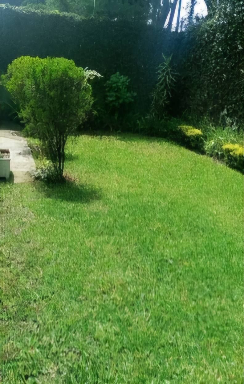 2 de 7