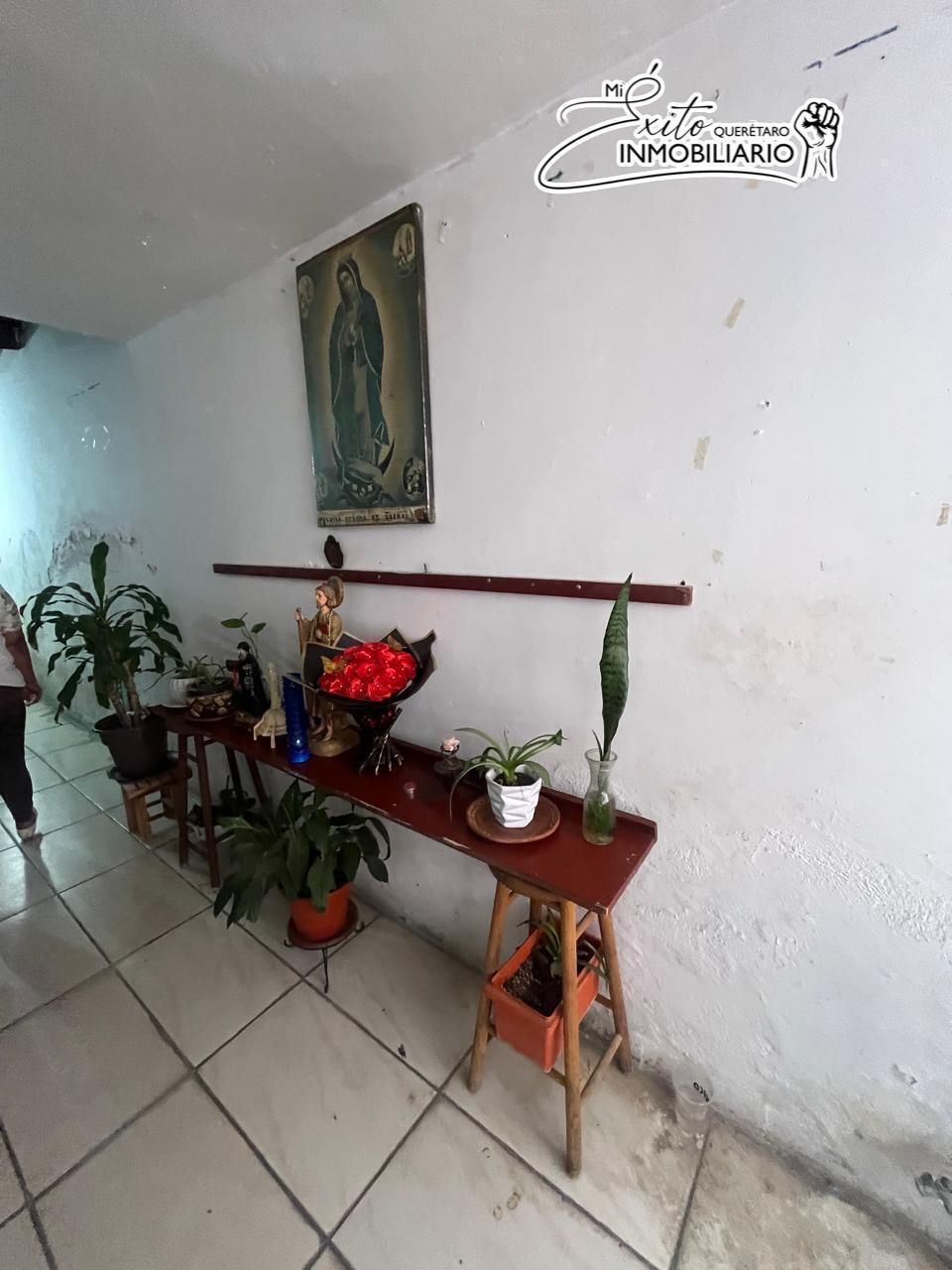 Imagen 8 de 10