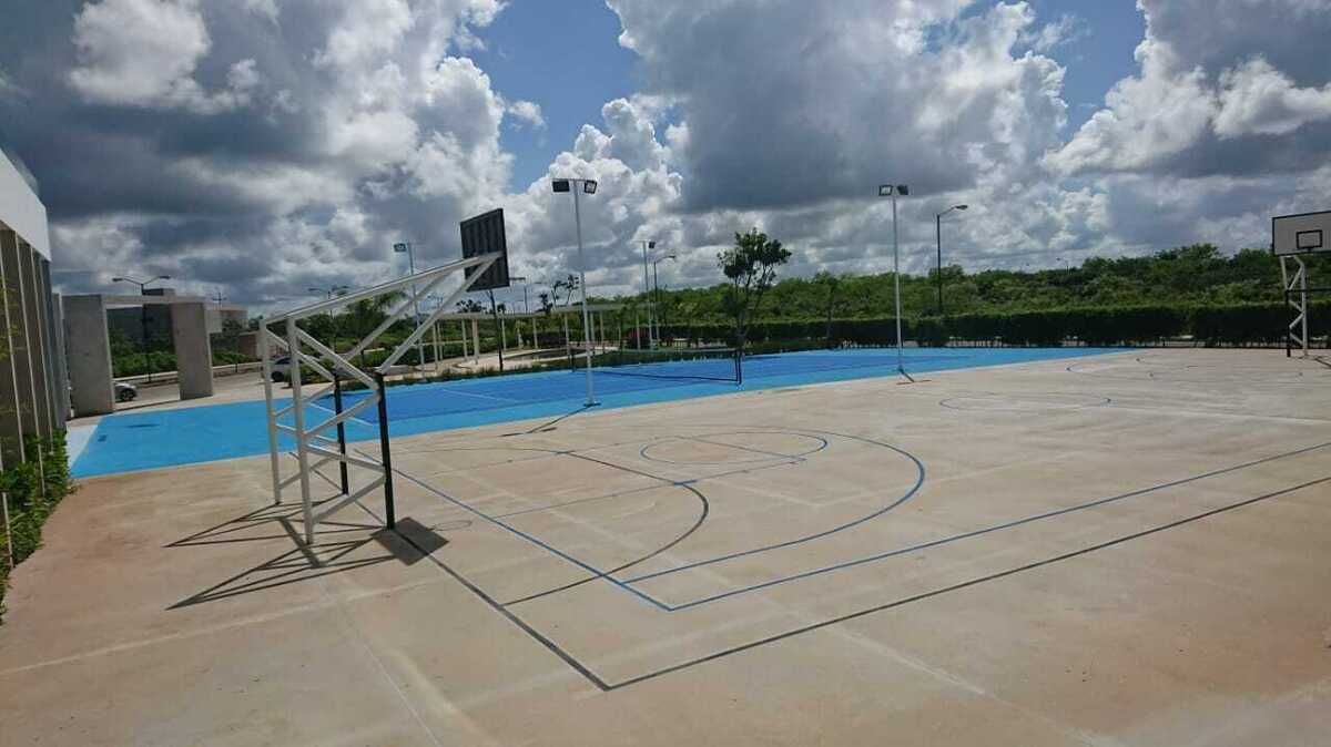 6 de 12