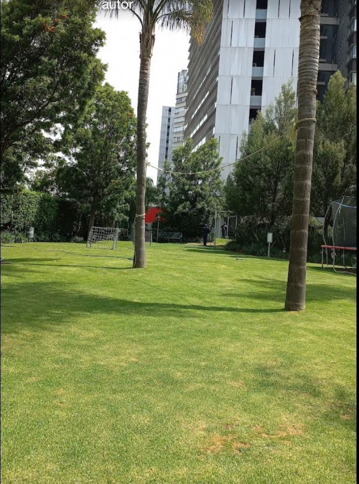 5 de 12