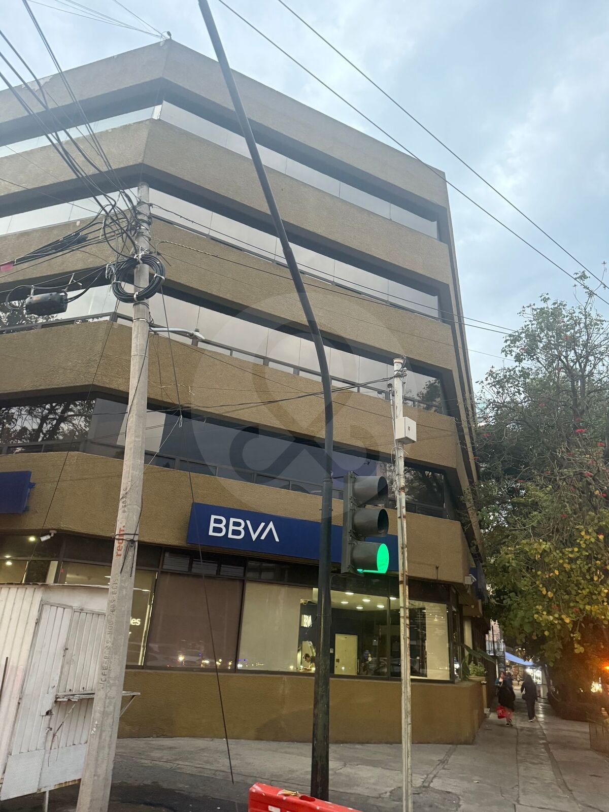 9 de 19