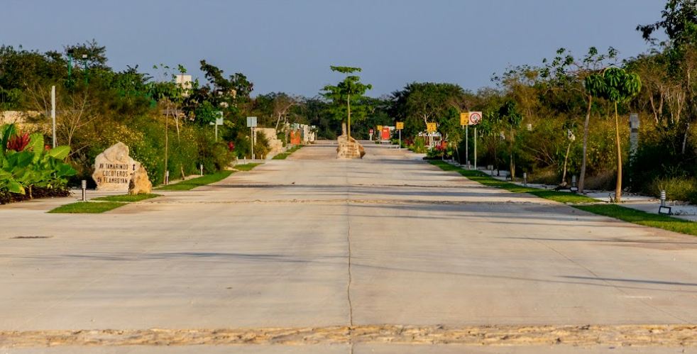 33 de 33