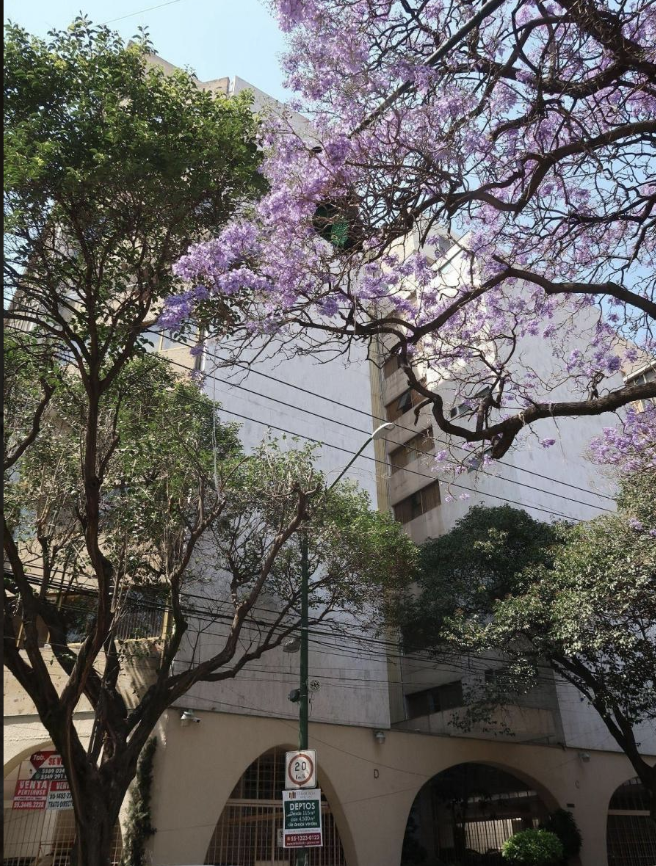 1 de 15