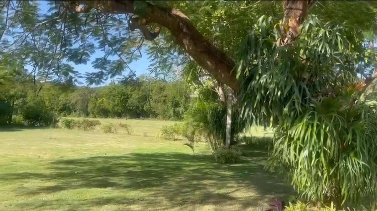 5 de 8