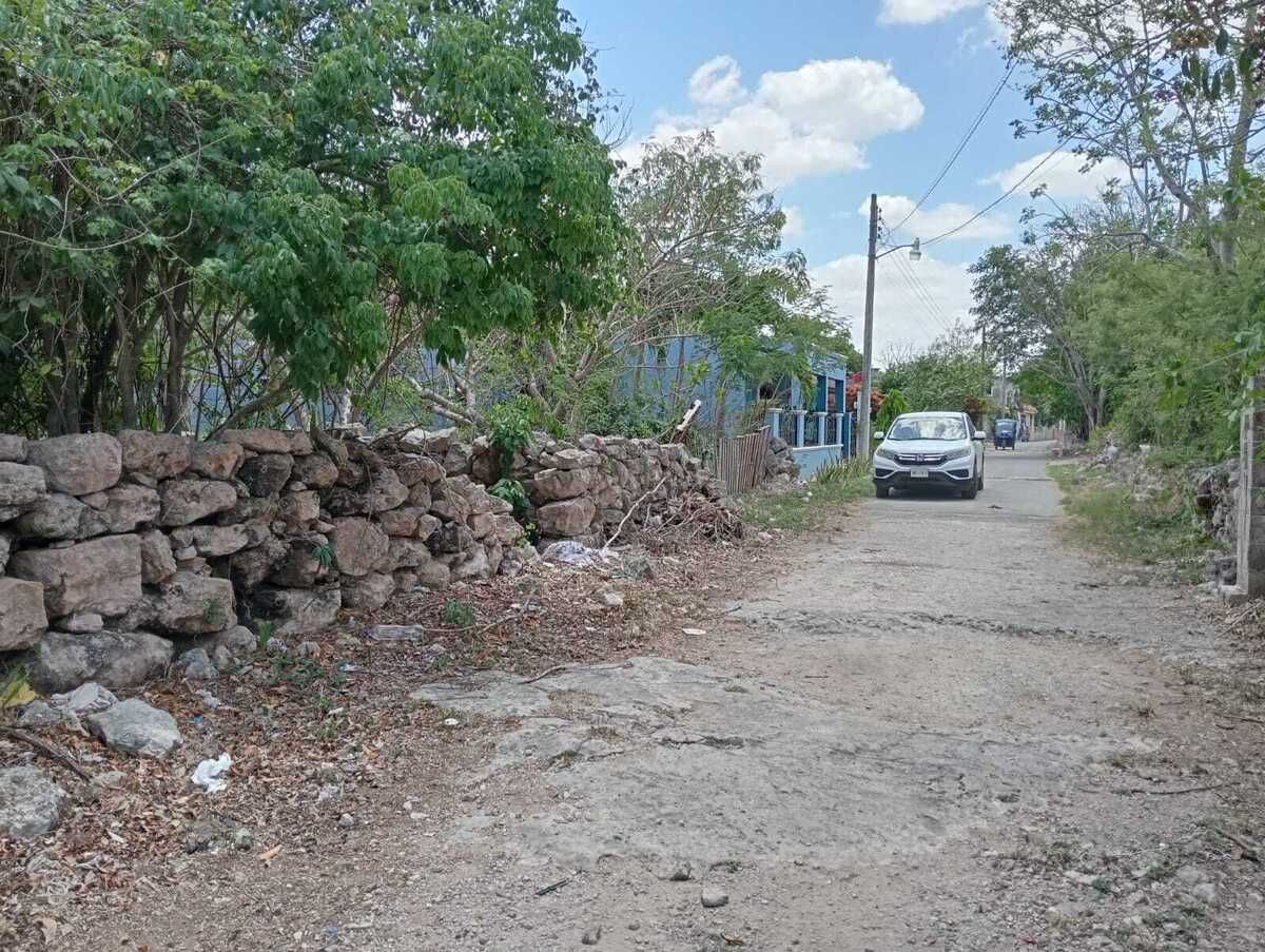 3 de 6